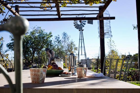 Olive Grove House Hotel Принс Алберт Екстериор снимка